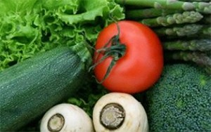 Diet & Nutrition