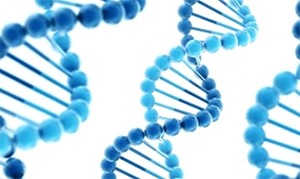 Genetic Susceptibility